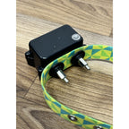 SportDOG SDF-R Extra Add-A-Dog Collar Receiver For In Ground Fence W/ Green Strap