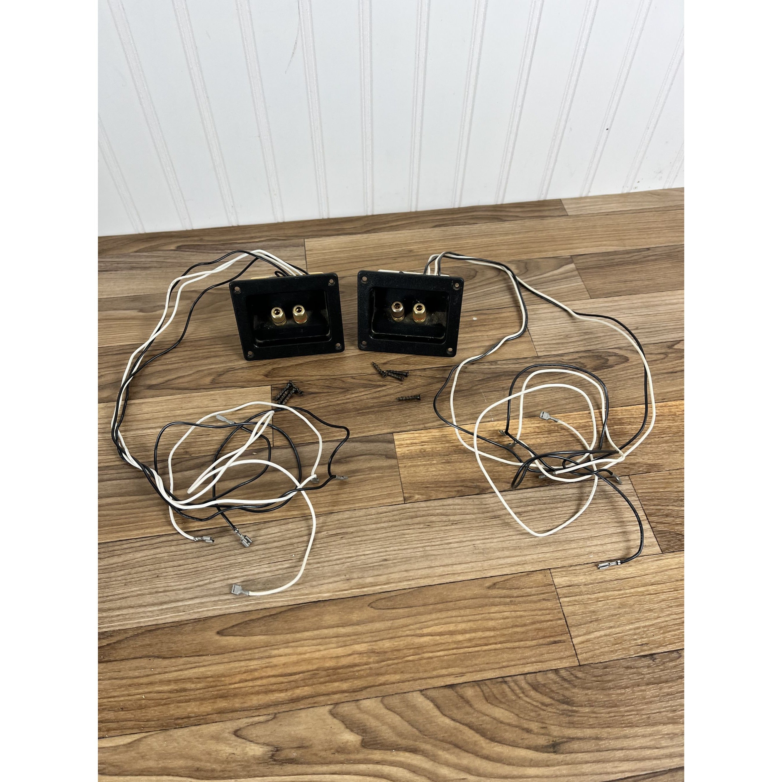 Pair of Polk Audio LS50 Crossovers / With Wiring