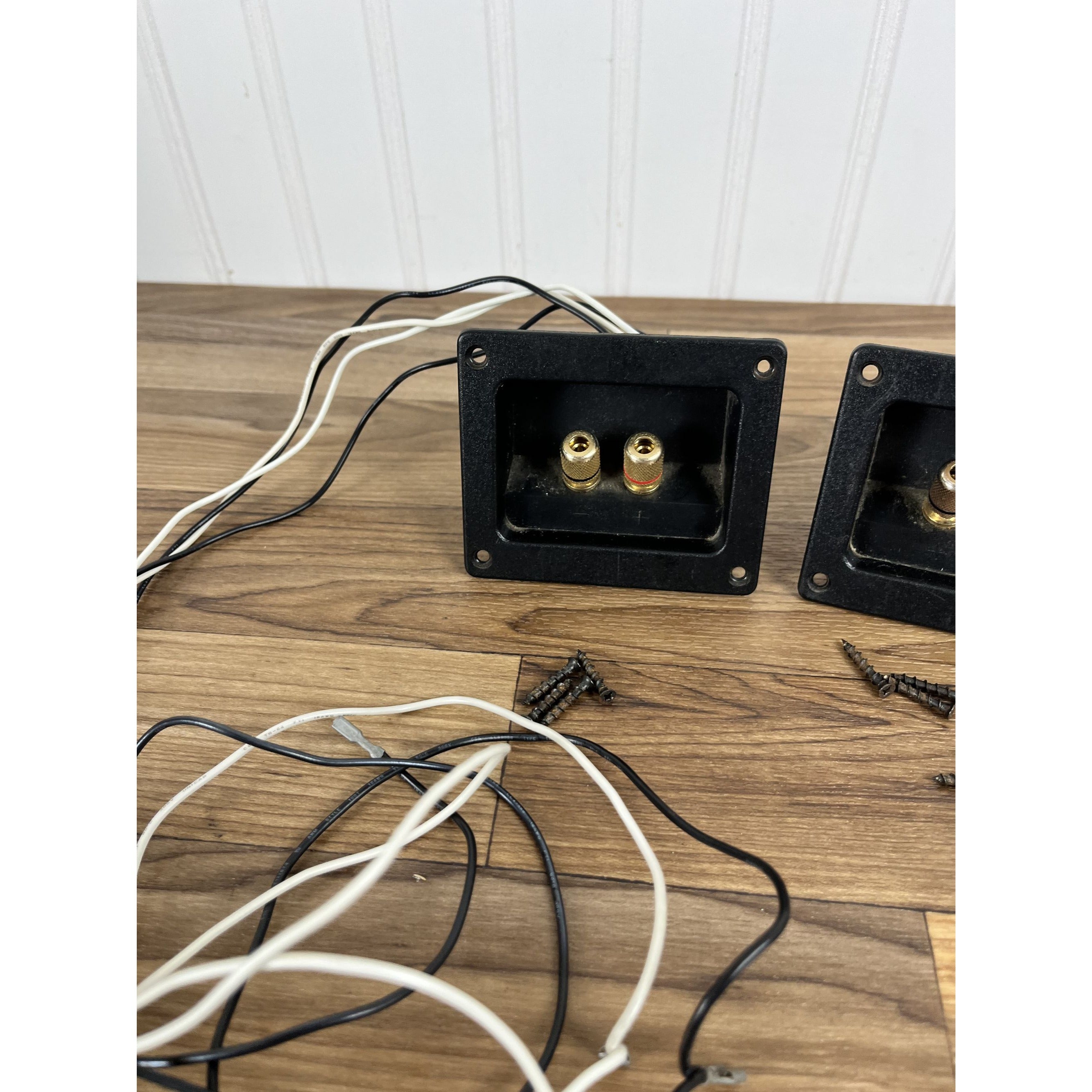 Pair of Polk Audio LS50 Crossovers / With Wiring