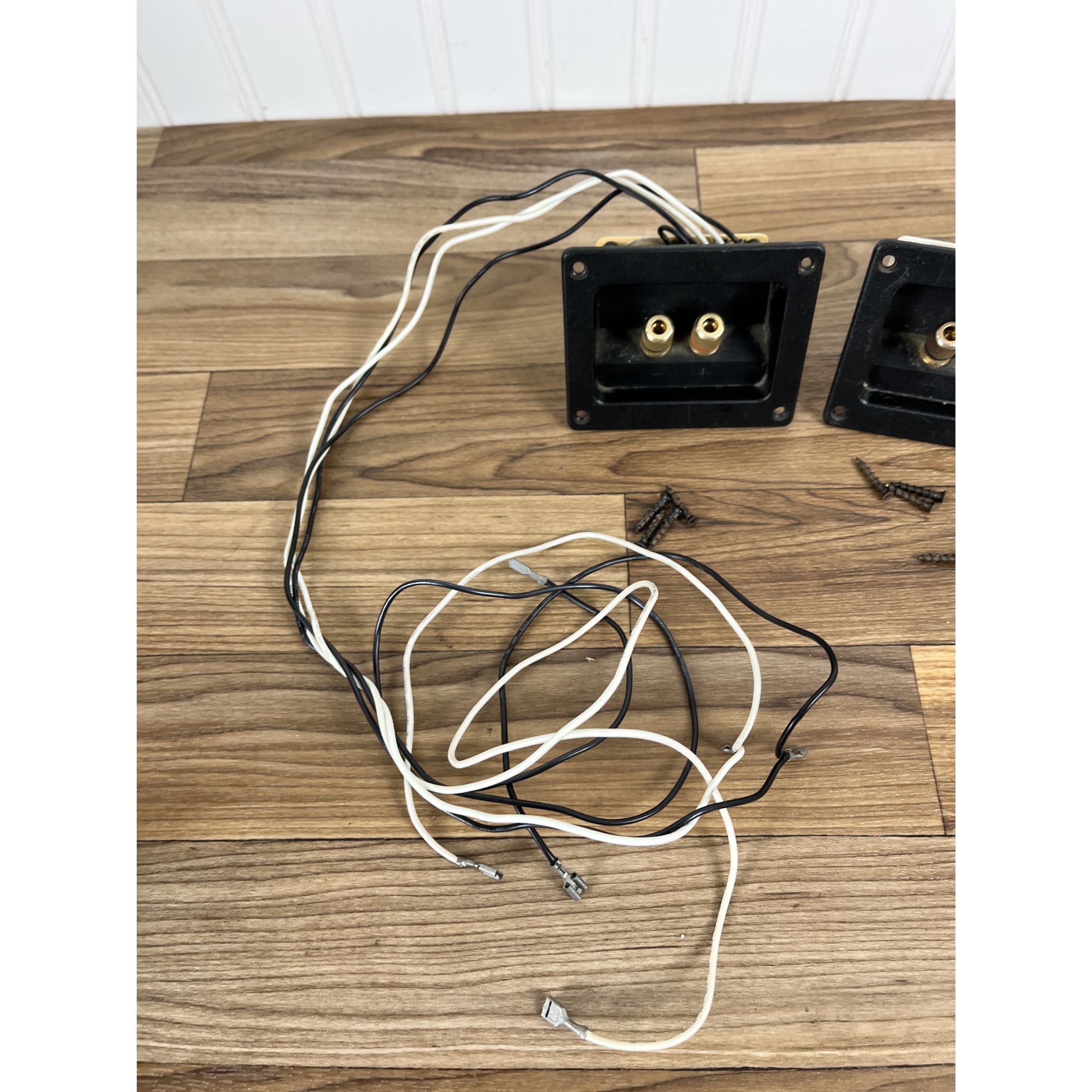 Pair of Polk Audio LS50 Crossovers / With Wiring