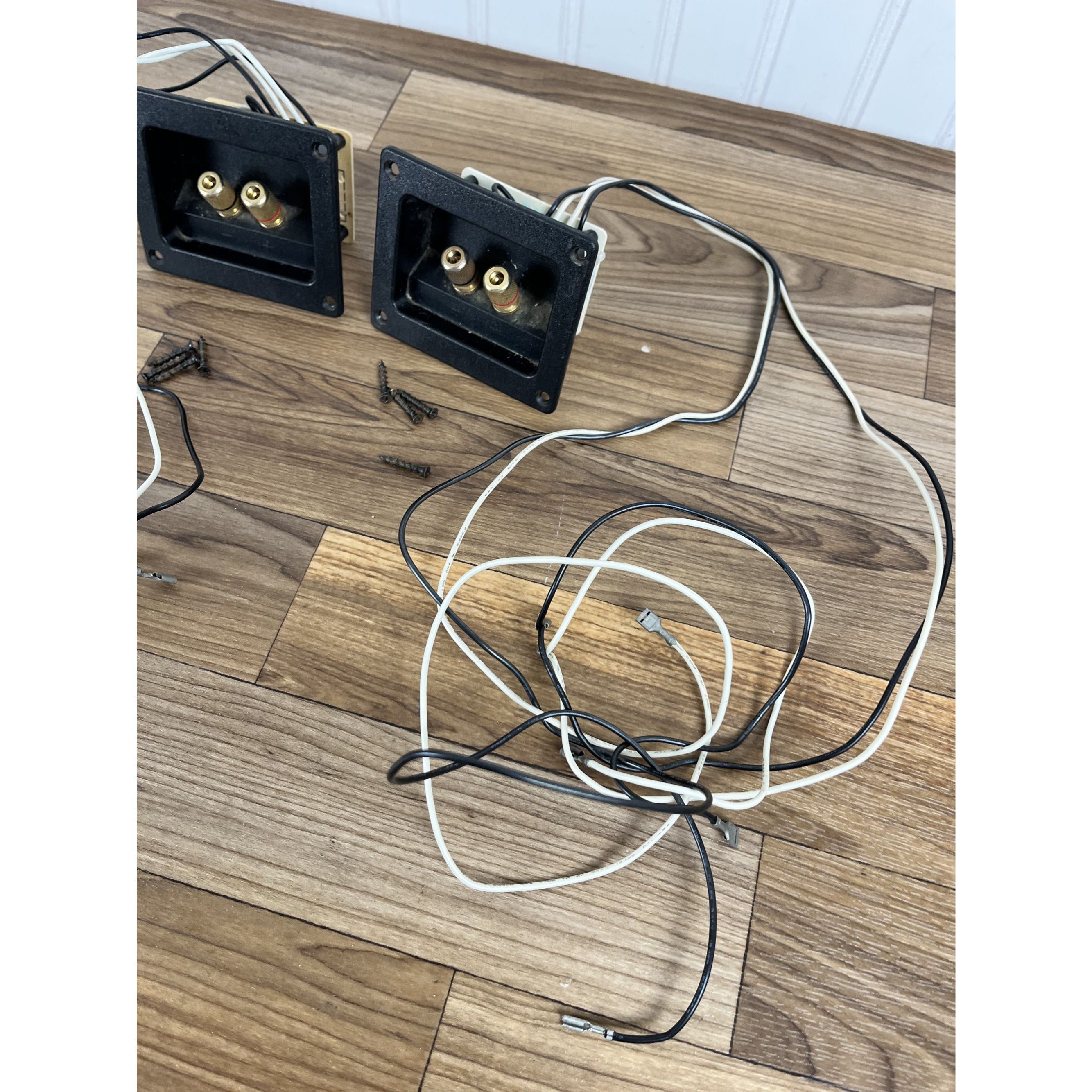 Pair of Polk Audio LS50 Crossovers / With Wiring