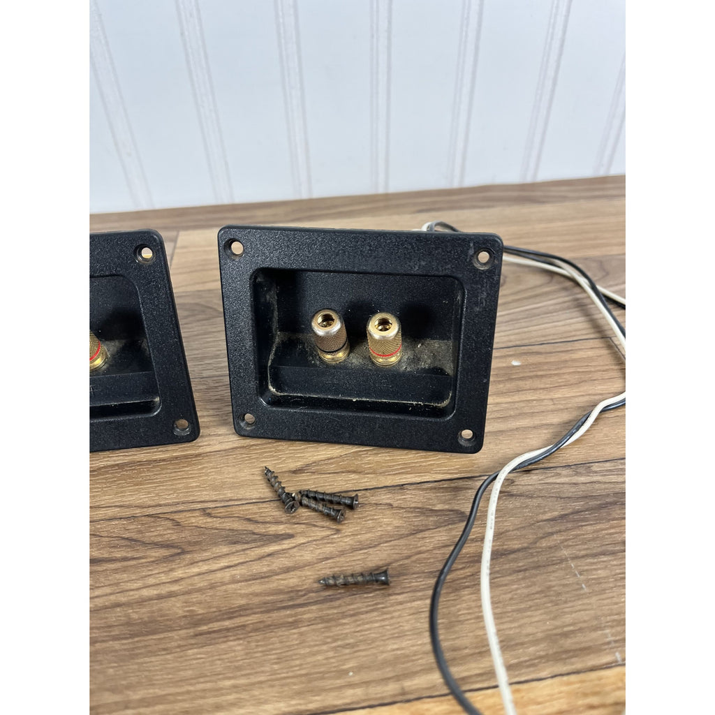 Pair of Polk Audio LS50 Crossovers / With Wiring